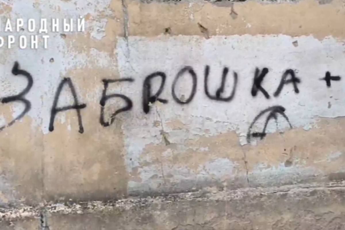 Скриншот из видео "Народного фронта Воронежской области"