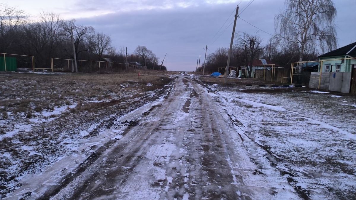 ОНФ в Воронежской области