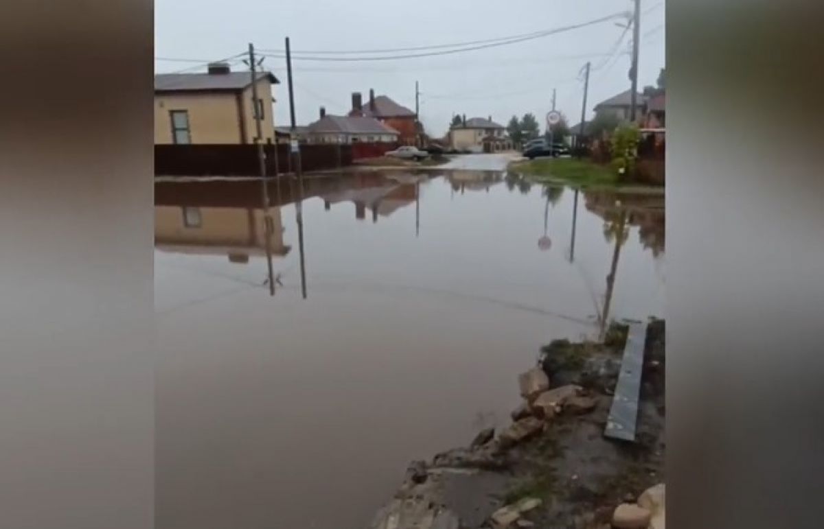 Отделение Народного фронта в Воронежской области