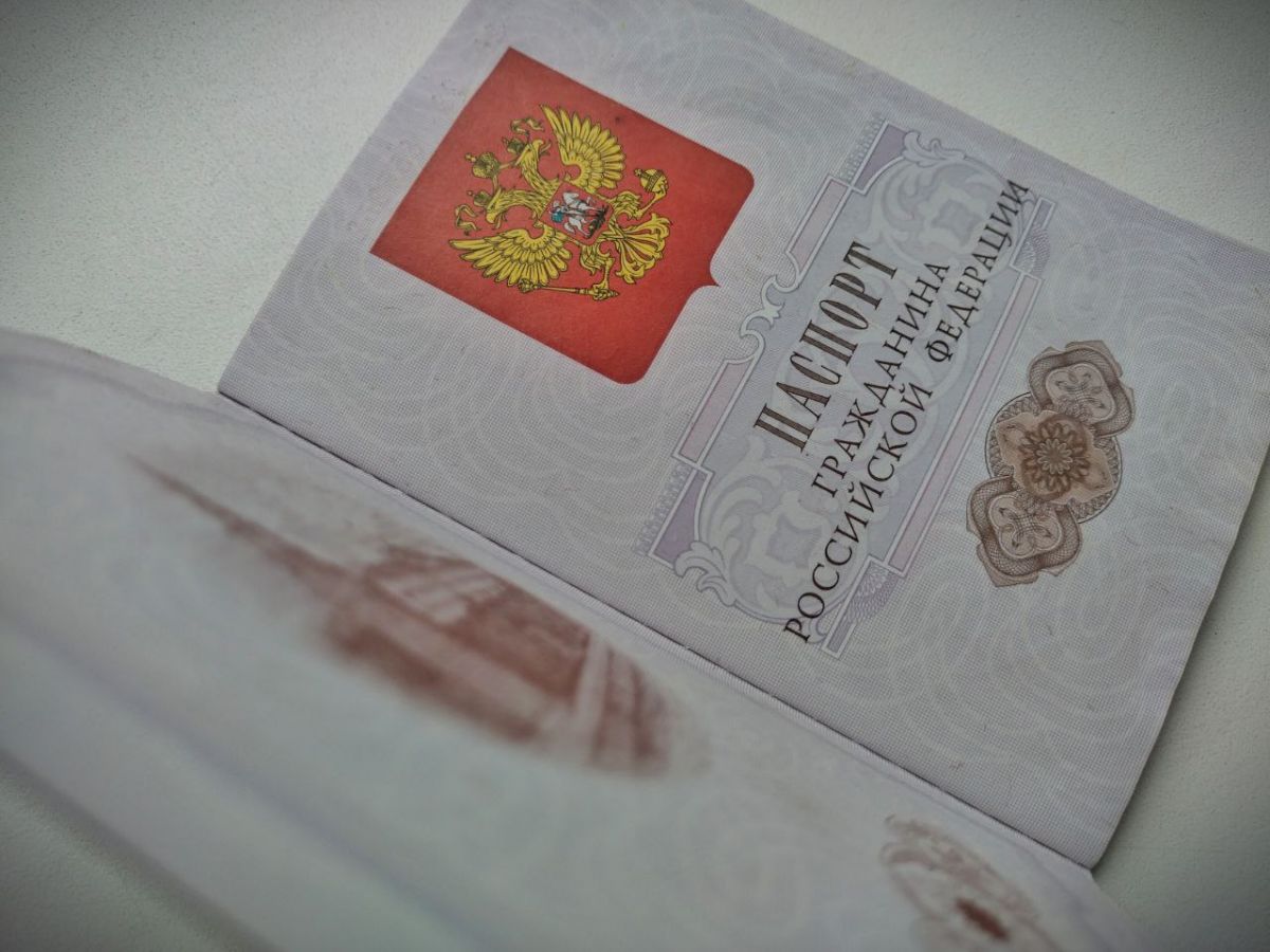 После прецедента с уроженцем Армянской ССР из воронежского аграрного вуза: за что могут лишить гражданства России?