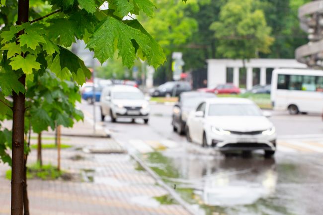 В Воронежской области до 30 мая продлили предупреждение о грозе и ливнях