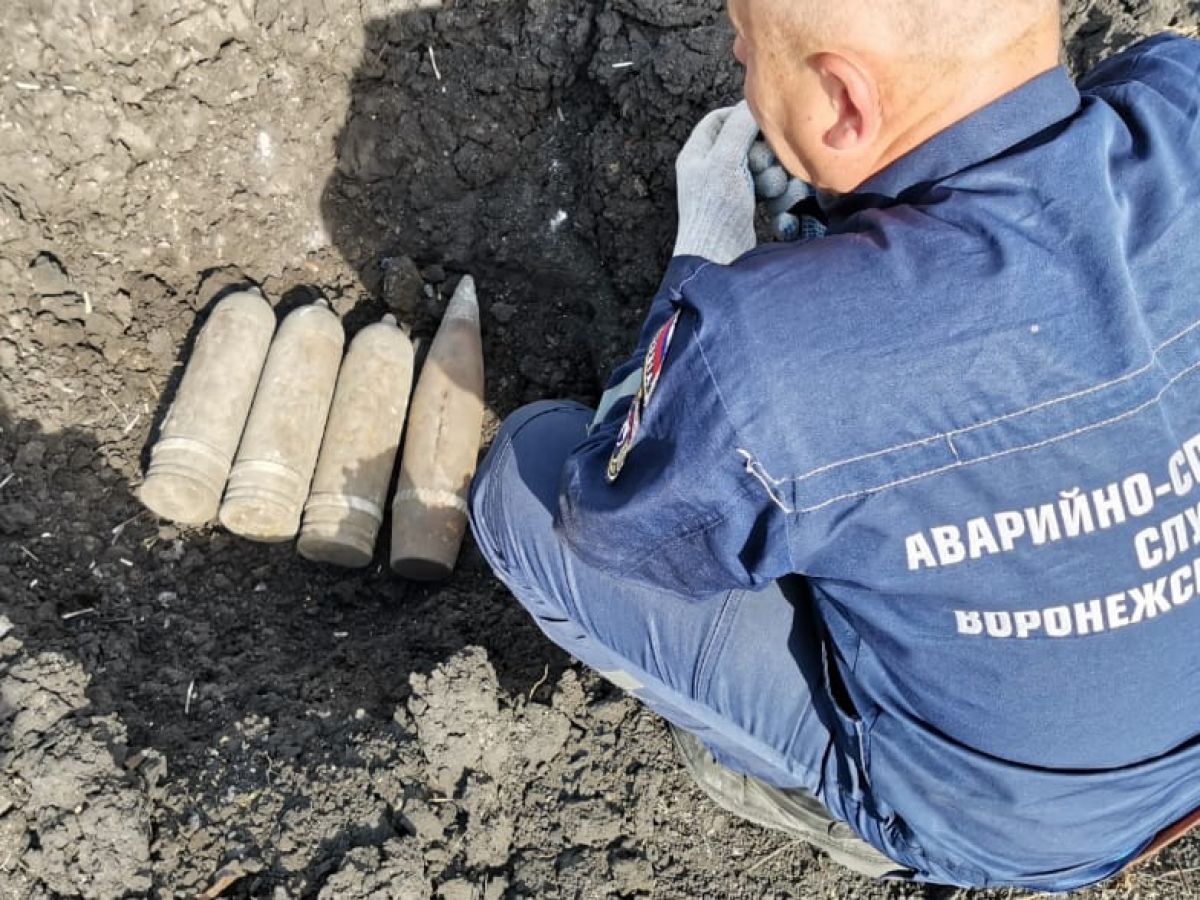 В Воронежской области обезвредили шесть боеприпасов времен Великой Отечественной войны