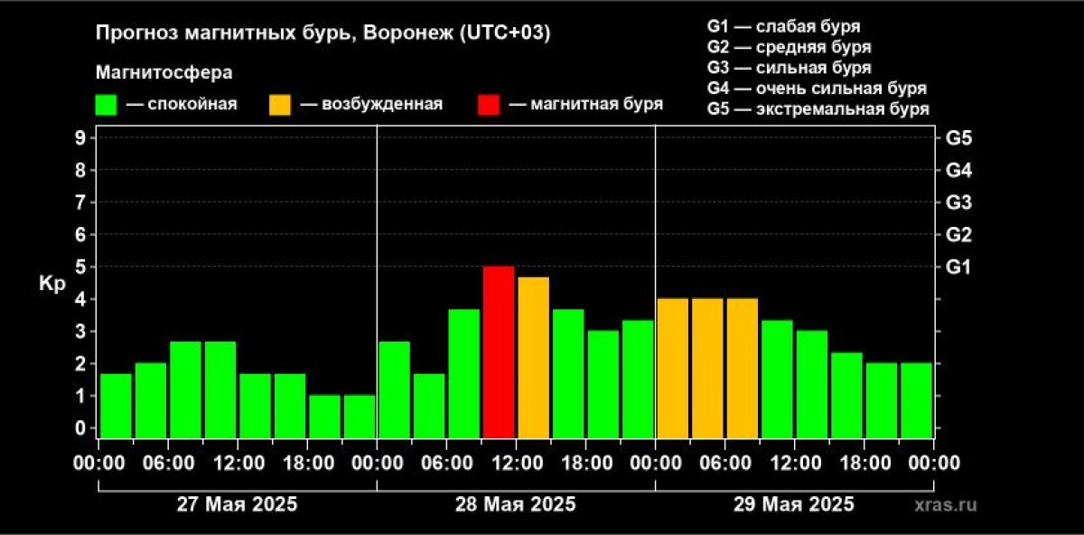 Метеозависимых воронежцев предупредили о грядущей магнитной буре