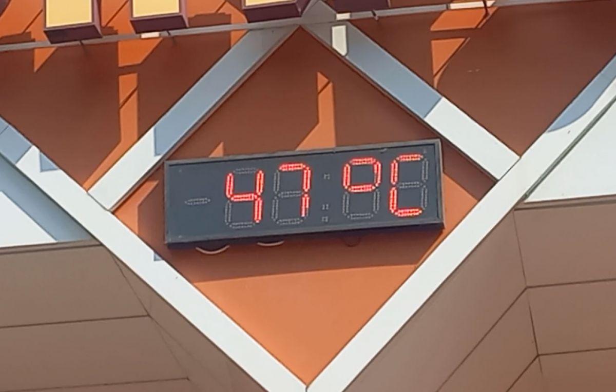 Температура на солнце достигла +47, воронежцы бьют тревогу
