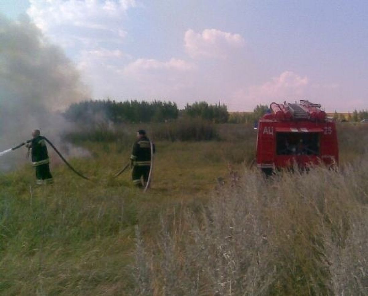 Огонь уничтожил поле пшеницы в воронежской слободе