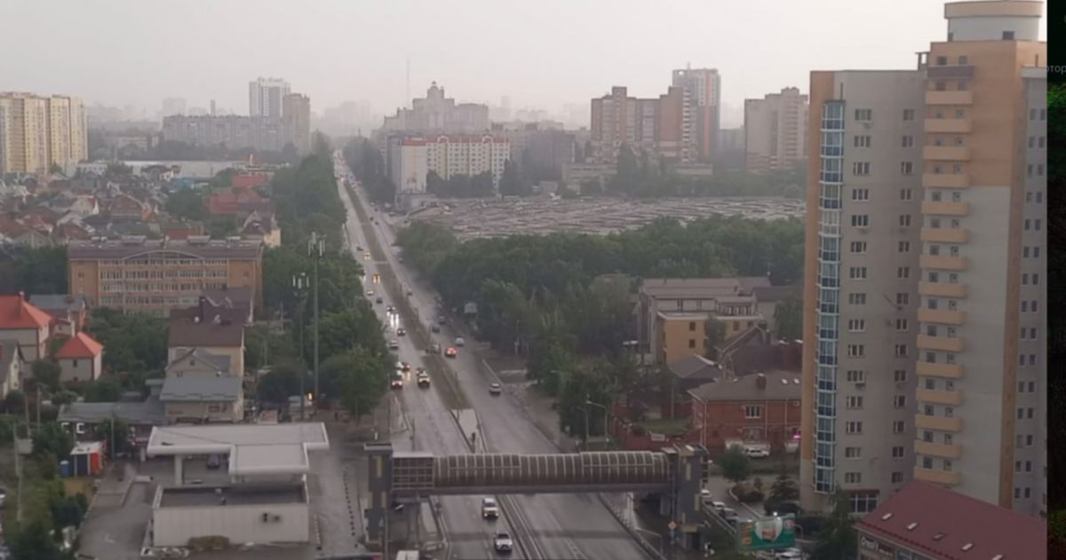 Читатель СИ "Воронежские новости"