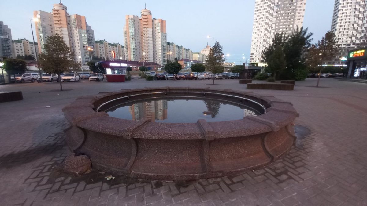 Читатель СИ "Воронежские новости"