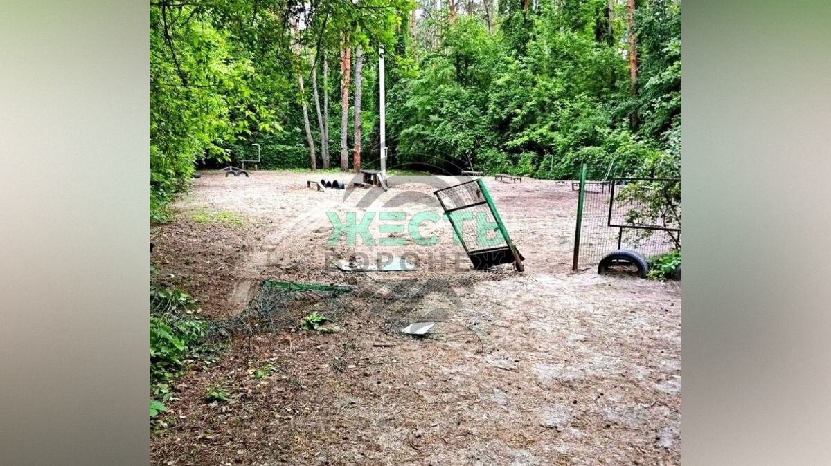 Вандалы разгромили площадку для выгула собак в Юго-Западном районе Воронежа