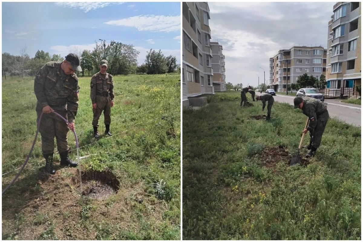 В богучарском Военном городке высадили более 80 трёхлетних дубов