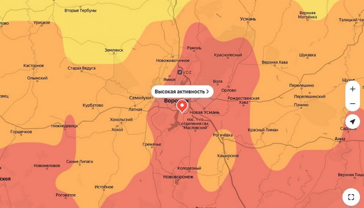 Воронежских аллергиков предупредили о пике цветения берёзы и ольхи