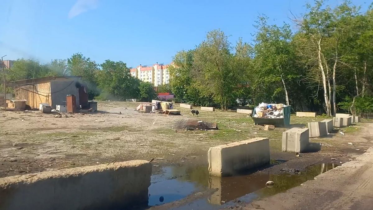 Bopoнежцы показали, как сейчас выглядит «опасный» частный приют для собак у водохранилища