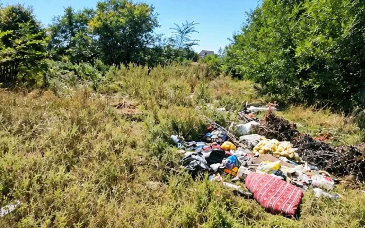 В Лисках ликвидировали незаконную свалку после вмешательства прокуратуры