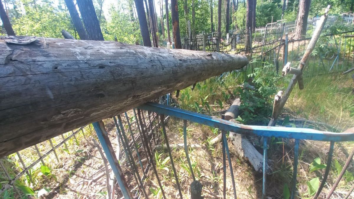 Упавший ствол дерева повредил памятники и ограды на Графском кладбище в Воронежской области