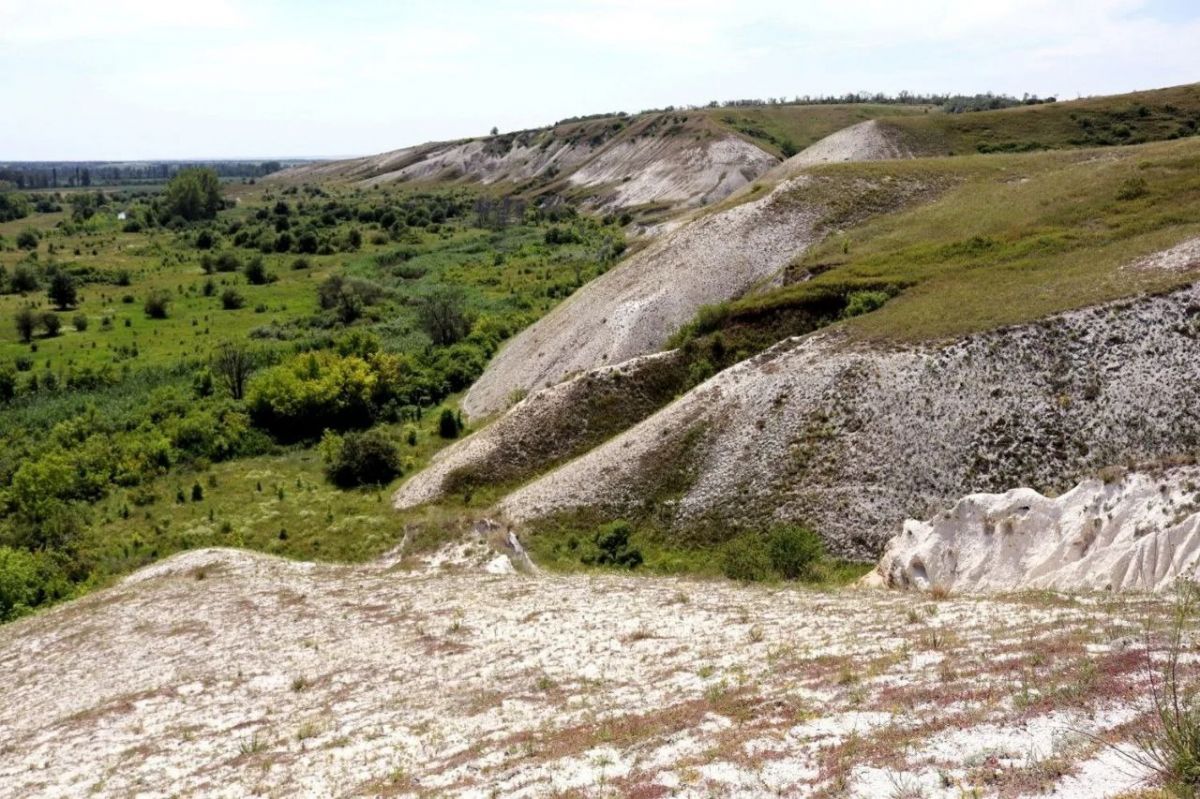В Воронежской области появится новая особо охраняемая природная территория «река Белая»