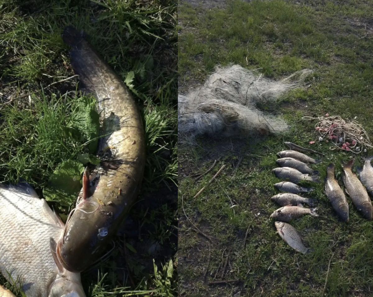 Утренняя рыбалка на Дону обернулась для воронежца уголовным делом