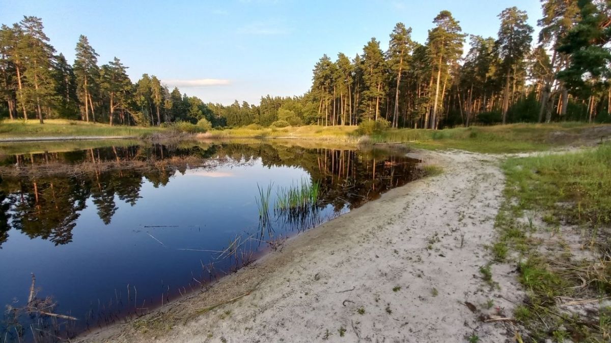 Райское место без воды показали воронежцы в разгар 35-градусной жары