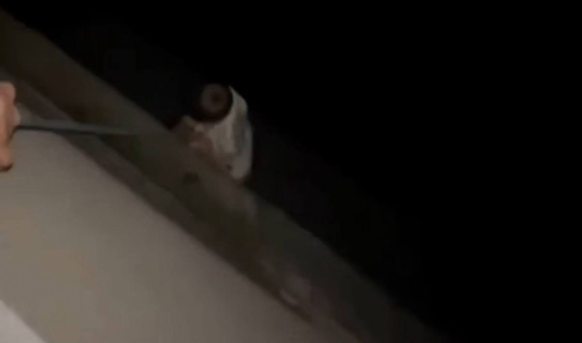 Областной СК начал проверку в связи с распространением кадров на которых мужчина спускает ребёнка с балкона на тросе