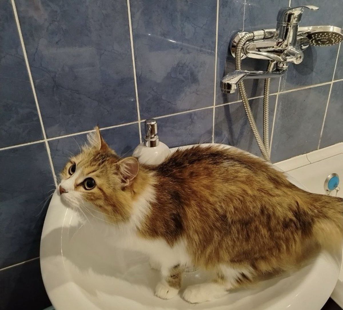 В Воронеже множество домов Ленинского района остались без холодной воды