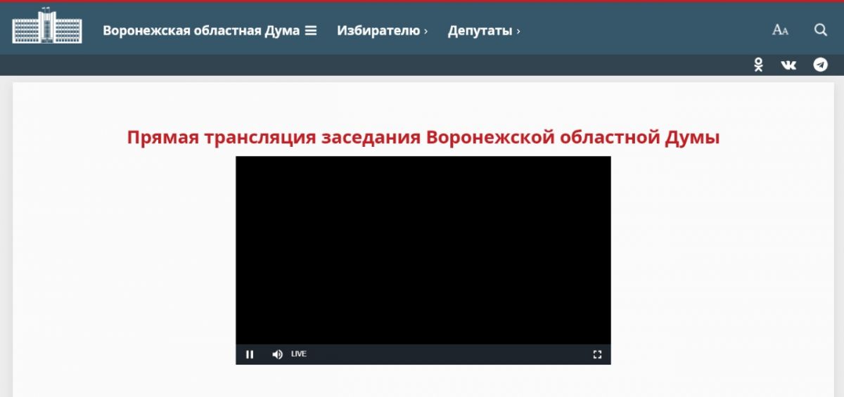 Черный экран загорелся вместо трансляции заседания Вороблдумы в момент обсуждения вопросов про выборы