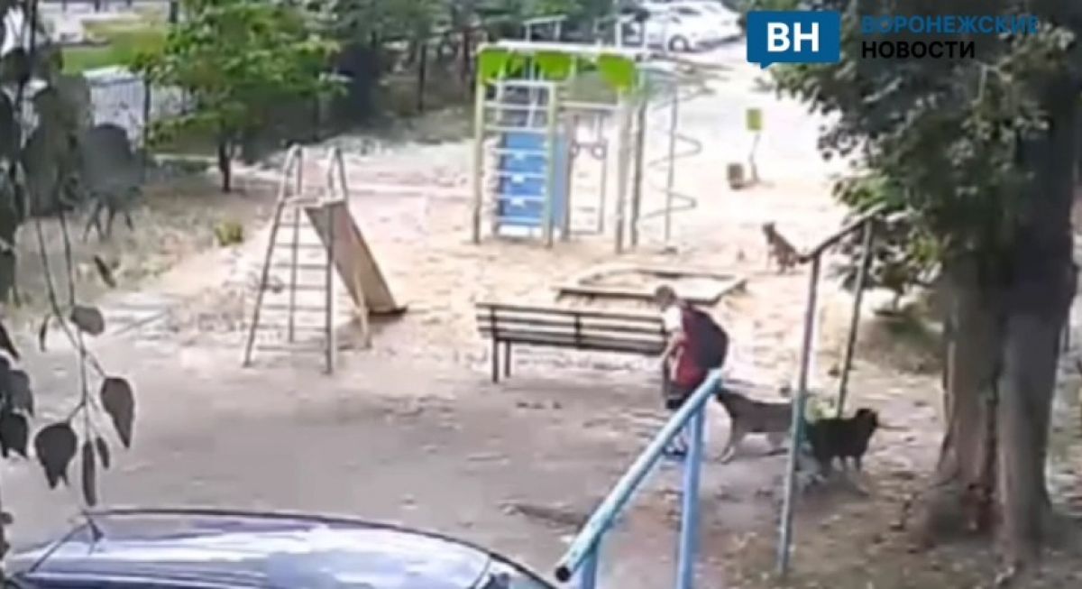 "Воронеж Vrn"