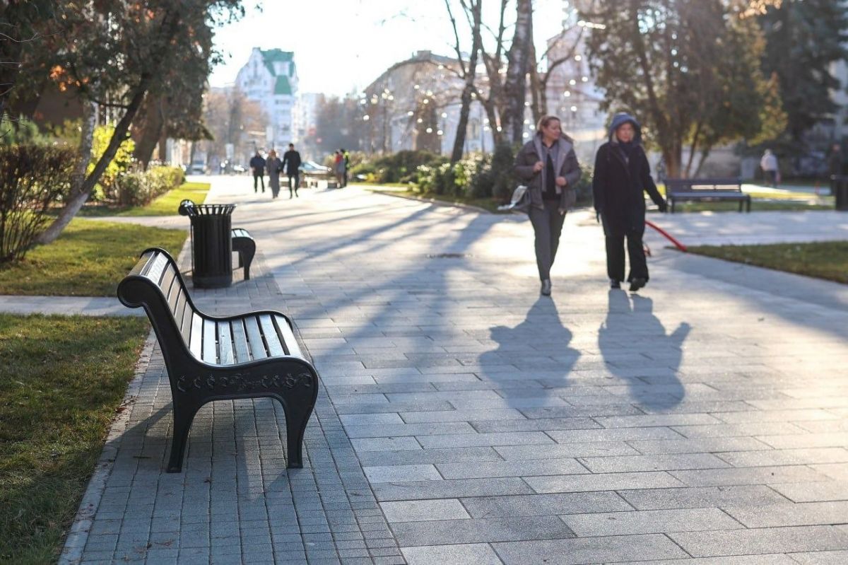 Мэр Воронежа Сергей Петрин рассказал о работах по благоустройству второго этапа на улице Карла Маркса