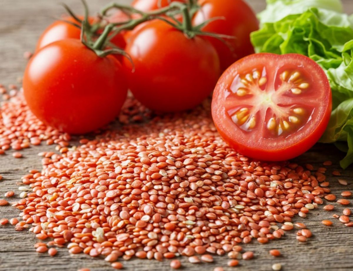 Продажу незарегистрированных семян томатов и капусты выявили в Воронежской области