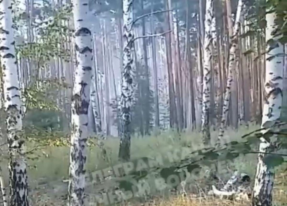 Фото - скриншот из видео