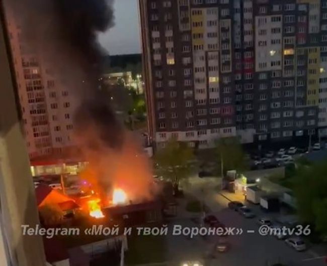 Фото - скриншот из видео