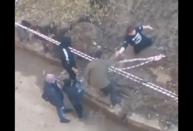 Фото - телеграм-канал "Типичный Воронеж"
