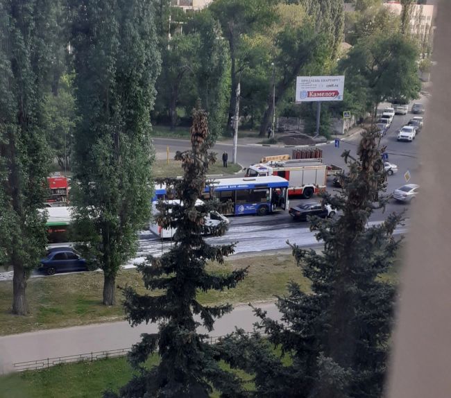 Фото читателя "Воронежских новостей"