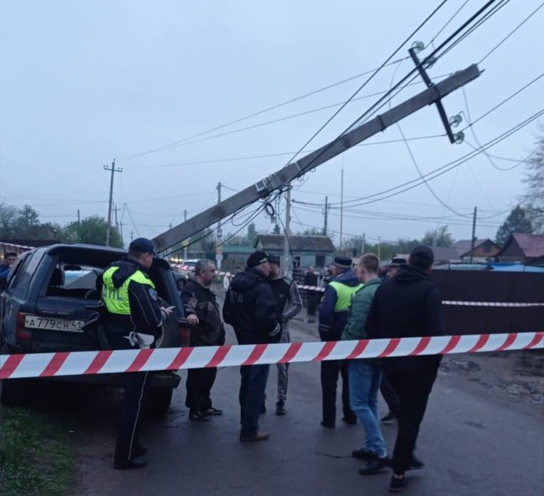 Пьяный воронежец оставил Дальние Сады в Воронеже без света - Воронежские  новости