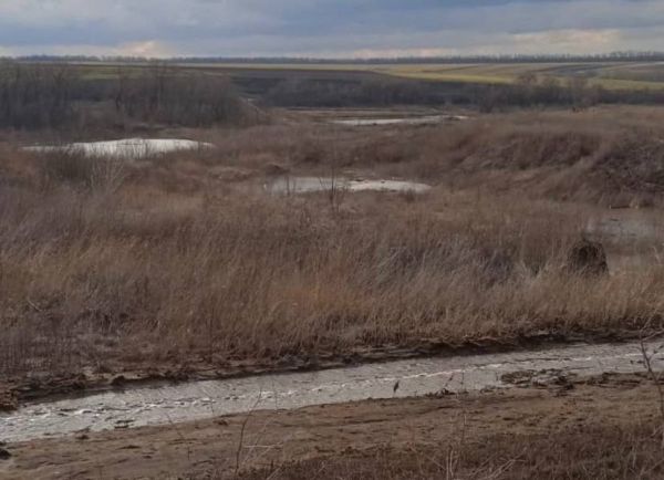 Пробы воды взяли из водоемов после прорыва отстойника с отходами в воронежском селе