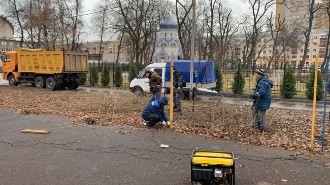 Благоустройство парка имени Дурова начали в Воронеже