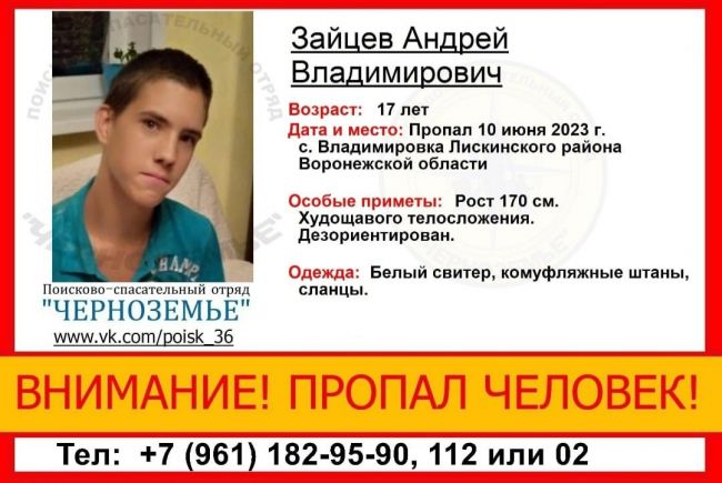 В воронежском селе пропал 17-летний дезориентированный подросток ...