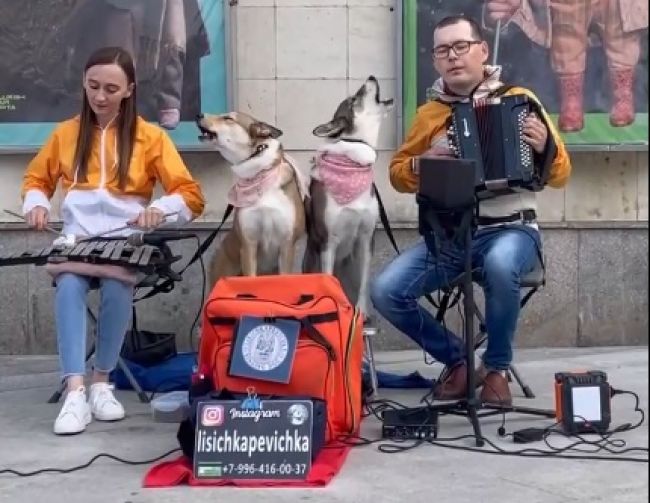 скриншот видео