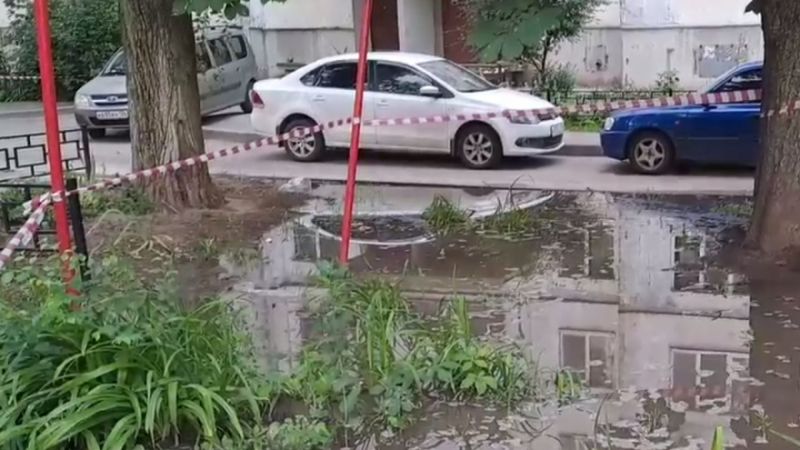 Фото: скрин видео