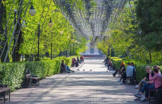 В Воронежской области в первые дни лета будет тепло и пасмурно