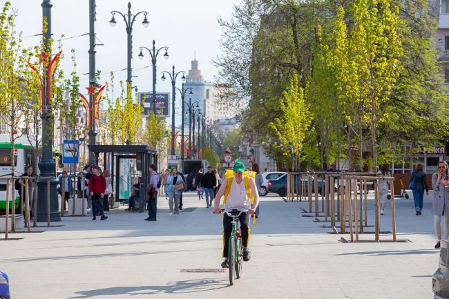 В Воронежской области снизился уровень зарегистрированной безработицы