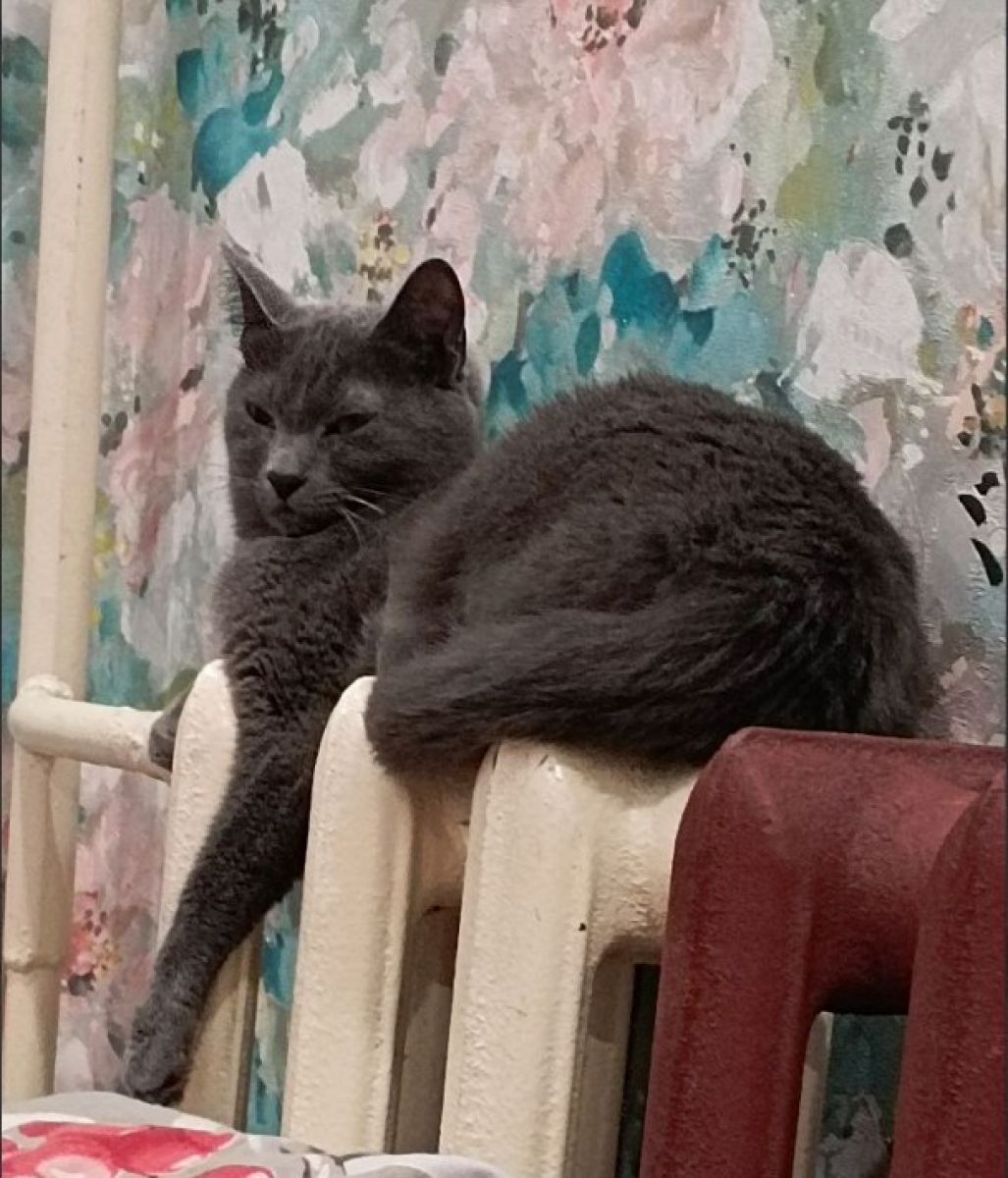 ООО "Региональные новости"