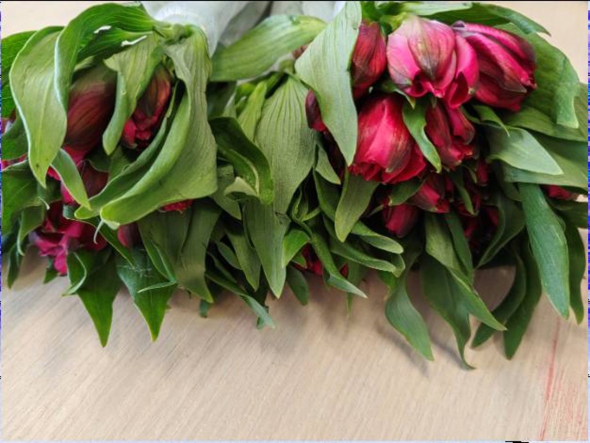 Пресс-служба Уральского межрегионального управления Россельхознадзора