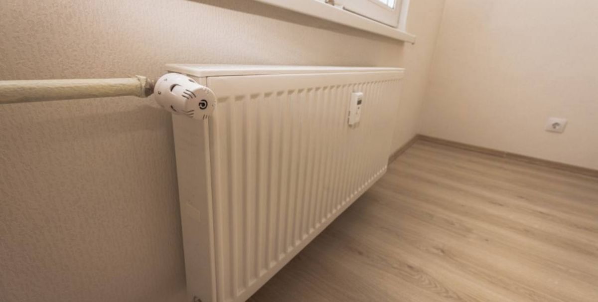 Алина Шешеня / Пресс-служба администрации Екатеринбурга