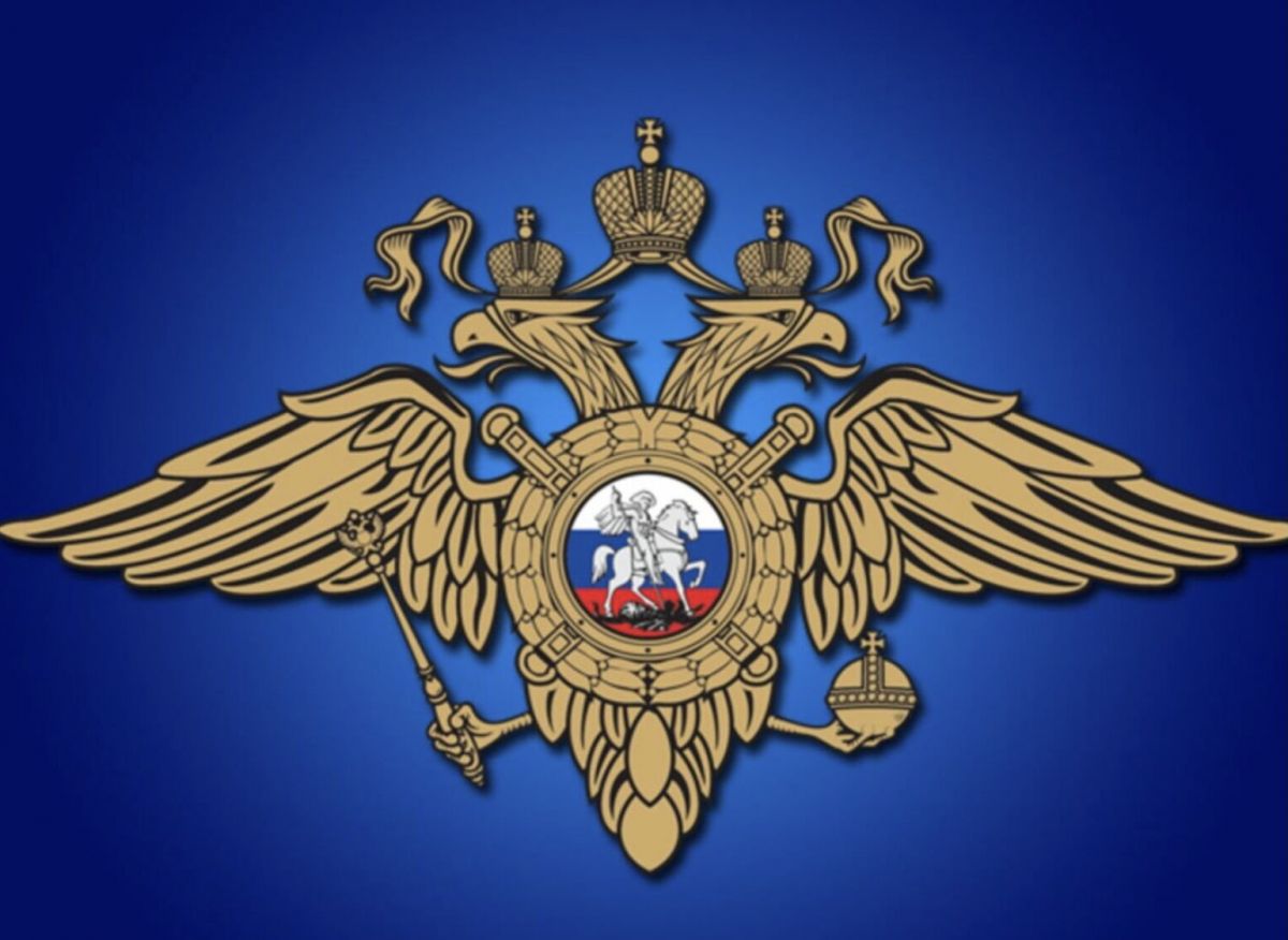 МВД