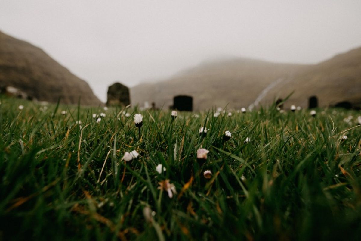 www.unsplash.com