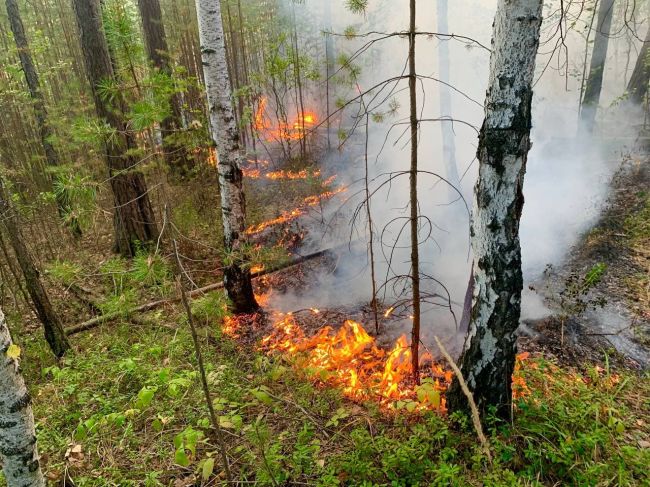 Фото: Бизнес Журнал. Урал