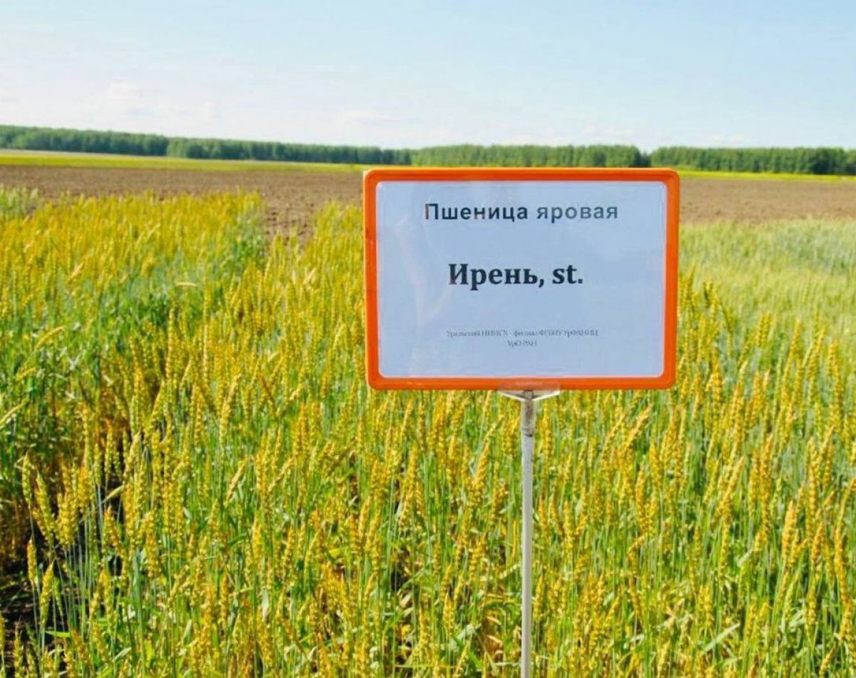 Правительство Свердловской области