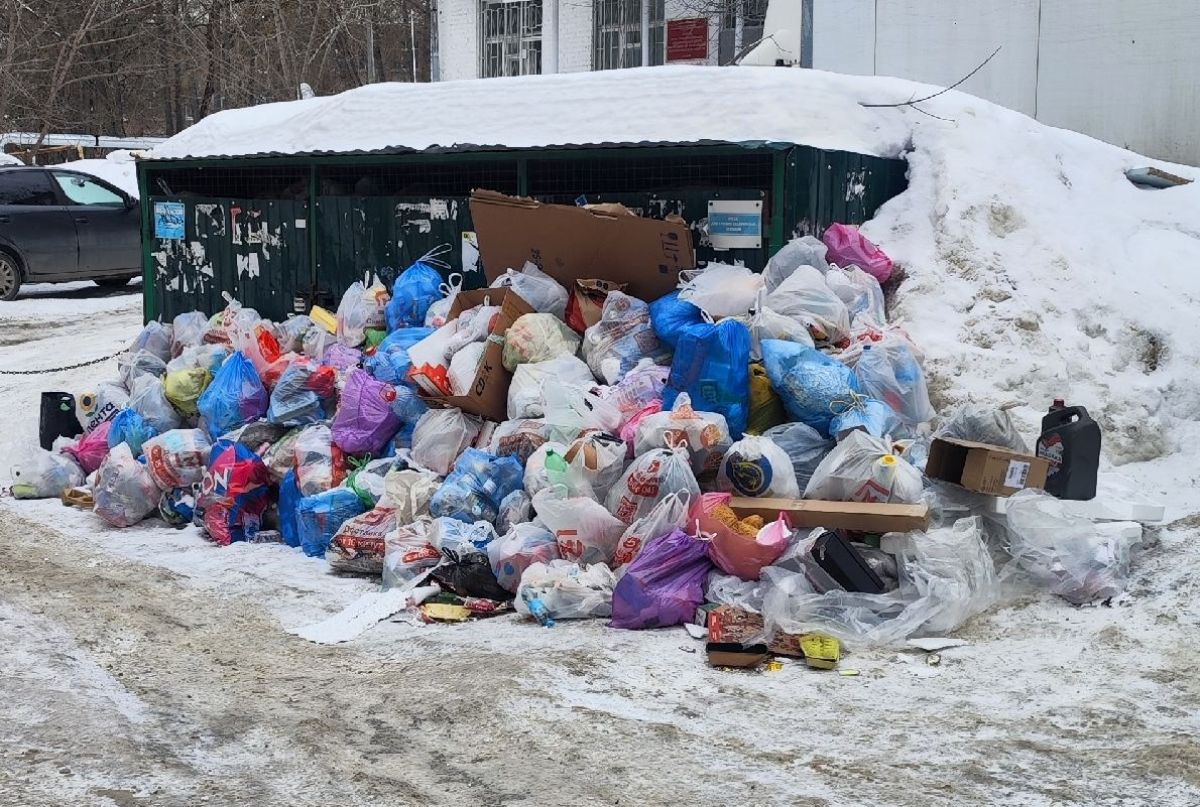 Жители Владимира пожаловались на мусорные завалы во дворе жилого дома