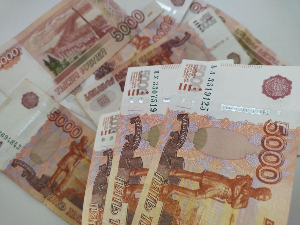 Орловцы заявили налоговые вычеты на сумму в 1,5 млрд рублей