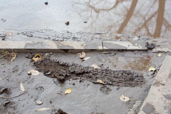 В Липецкой области выявлено 26 нарушений в организации мусорных свалок