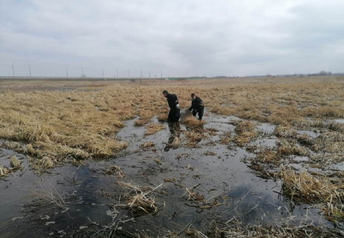 Установлена личность курянина, тело которого накануне извлекли из водоема