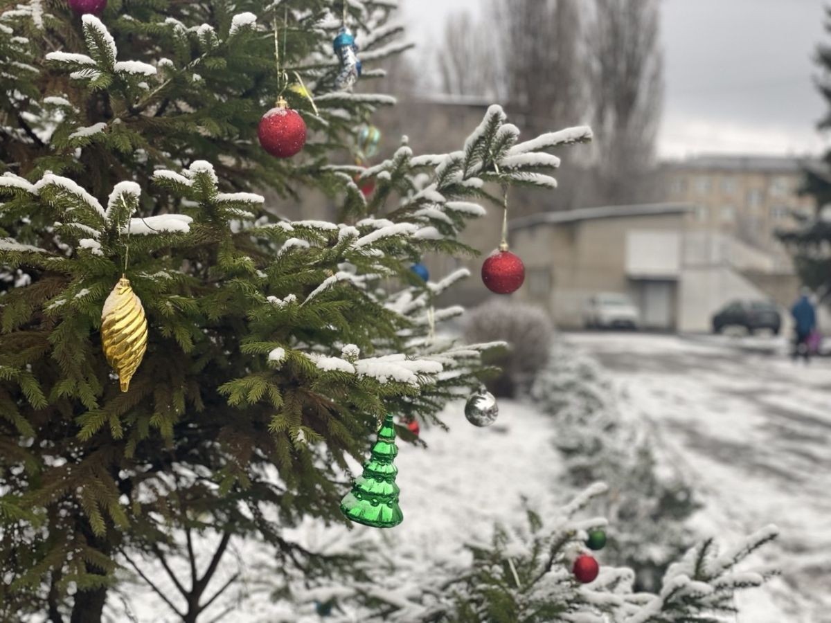 Местами снег: липчане любуется зимней сказкой в отдельных районах города